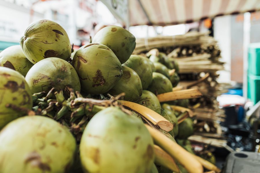 Timbunan kelapa muda hijau belum dikupas di gerai bekalan kelapa borong