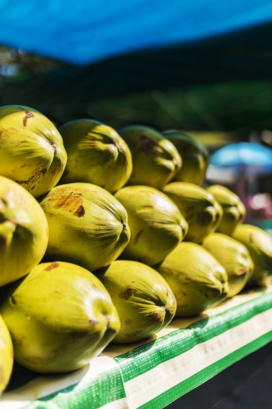 Deretan kelapa muda kuning kehijauan disusun di pasar borong