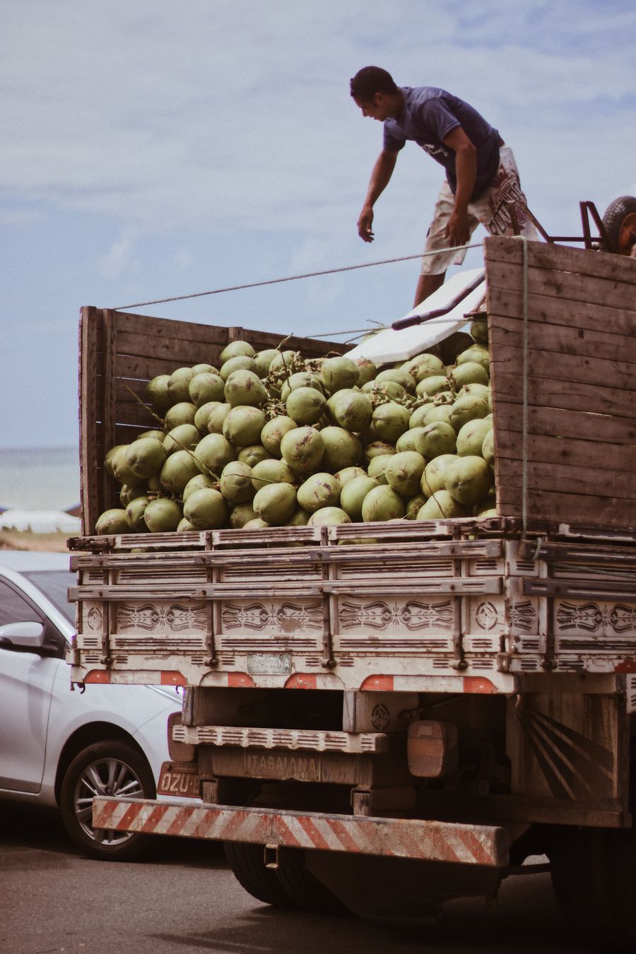 Lori berdinding kayu dimuatkan penuh dengan kelapa muda untuk penghantaran borong