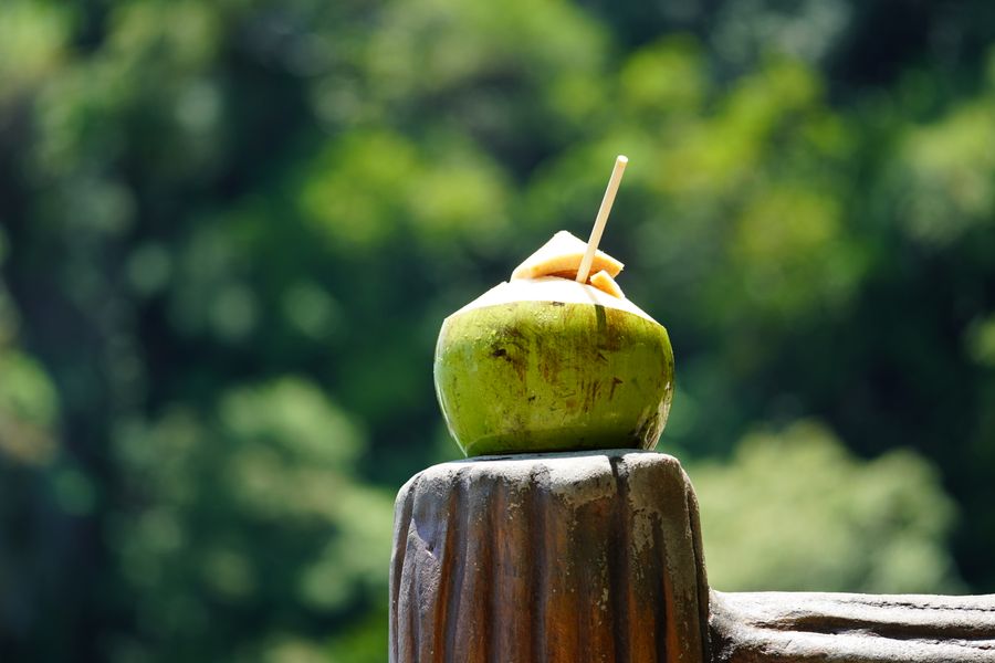 Sebiji kelapa muda hijau dengan straw di atas tunggul kayu