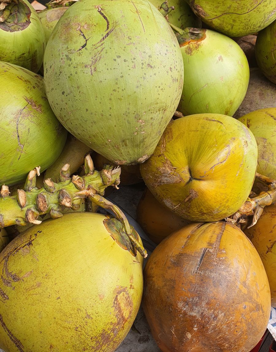 Kelapa muda hijau dan kuning bertangkai disusun rapat